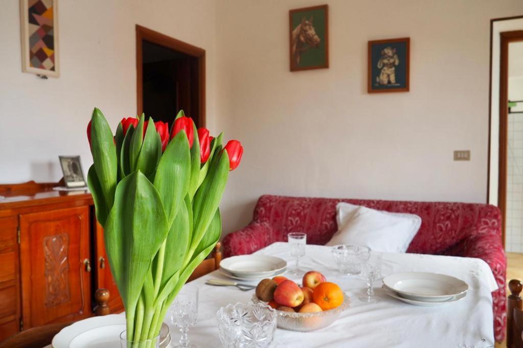 Casa Volpe Apartment Magliano Alfieri Ngoại thất bức ảnh